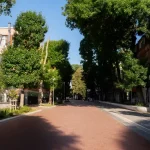 Посуха та спека влітку: посухостійке озеленення як спосіб адаптувати подвір’я до зміни клімату